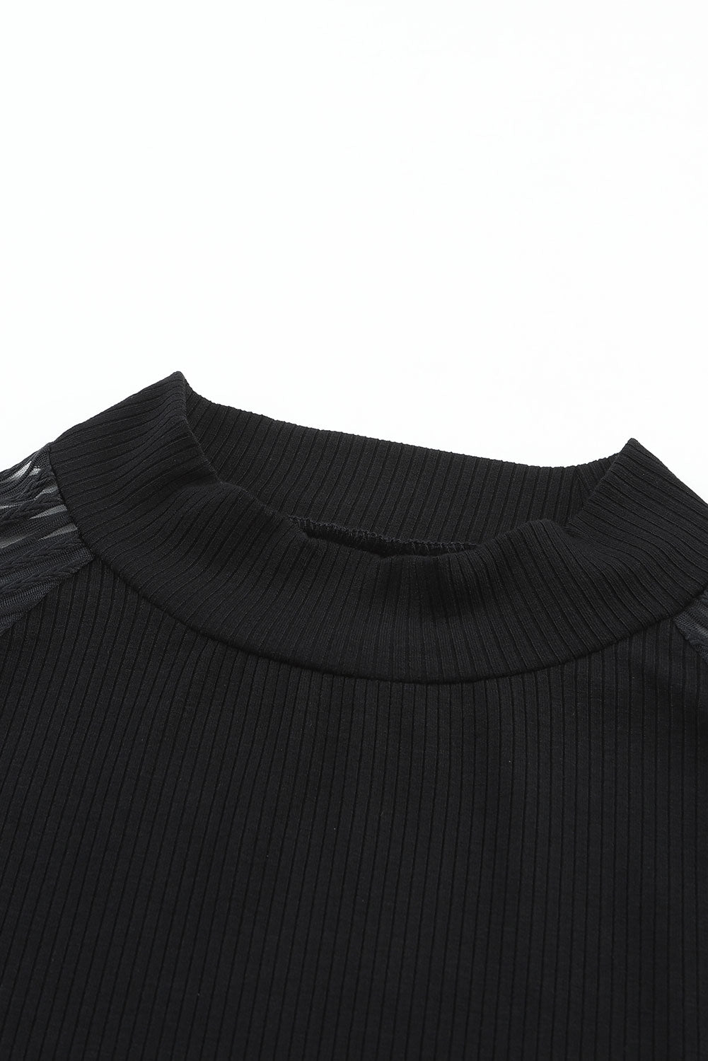 Black Striped Mesh Long Sleeve Crewneck Ribbed Top